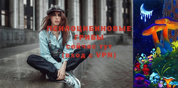 альфа пвп Заводоуковск