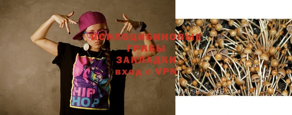 альфа пвп Заводоуковск